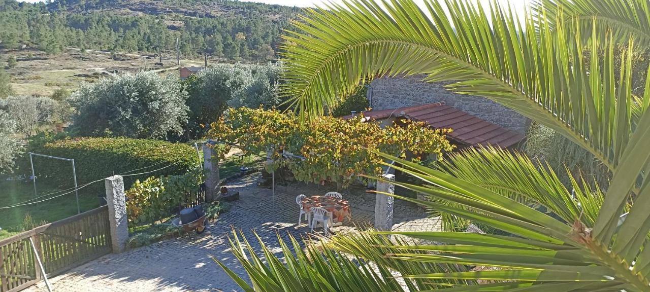 Quinta Do Mineiro-Serra Da Estrela Matanca Exterior photo