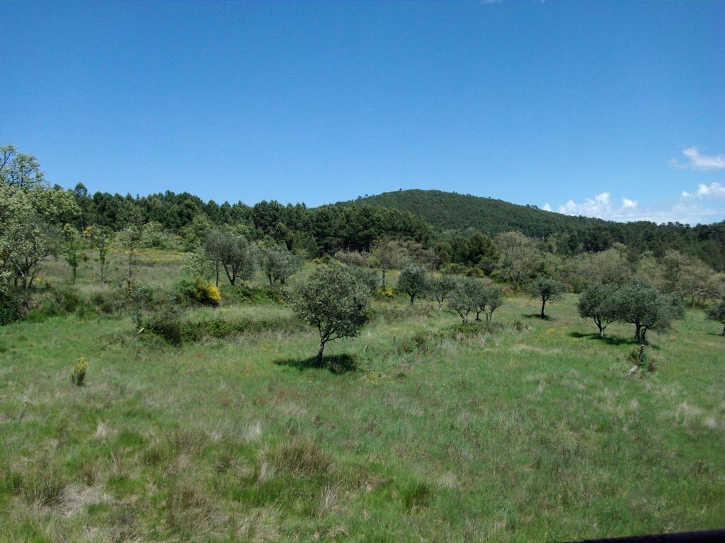 Quinta Do Mineiro-Serra Da Estrela Matanca Room photo